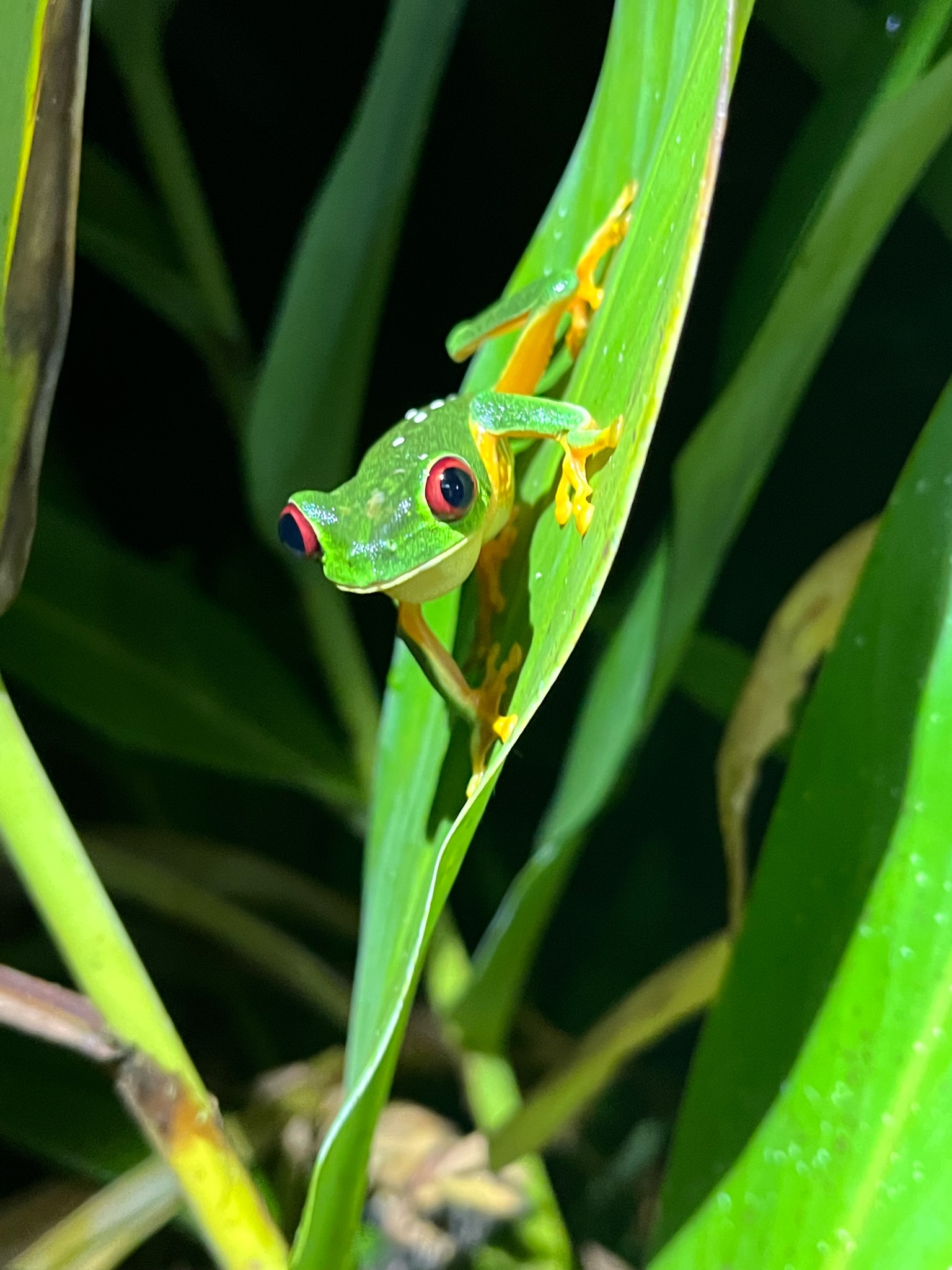 Hiking Guides & Trails